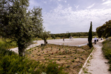 Portugal-Alentejo / Blue Coast-Monte Velho Dressage Clinics